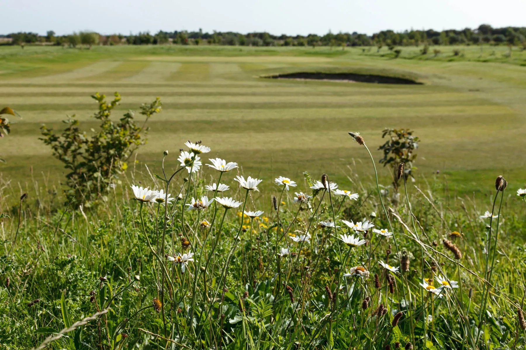 grange golf course